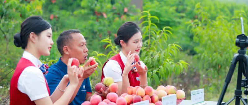 1708842565780123.jpg 17.jpg