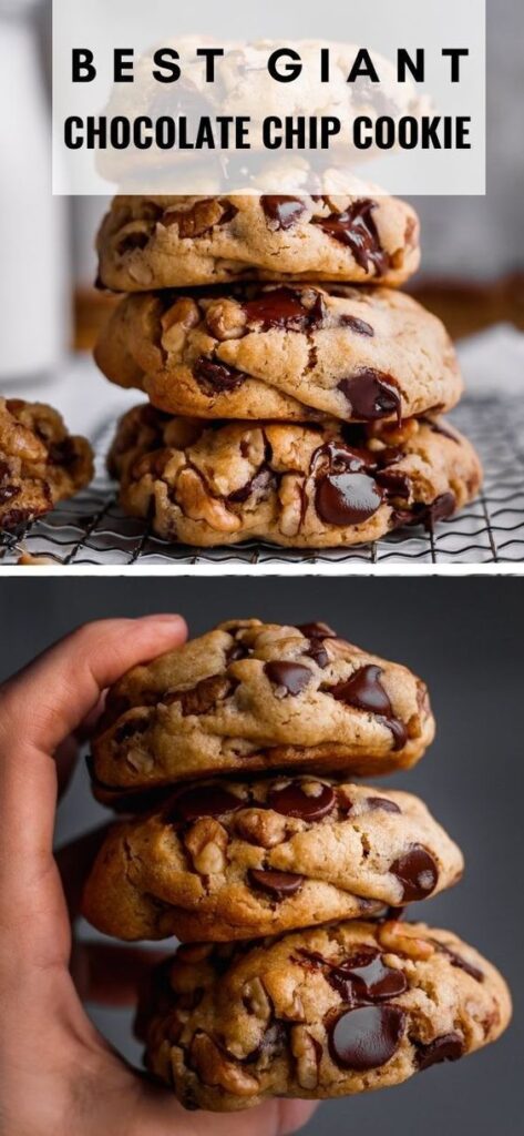 Best Giant Chocolate Chip Cookie