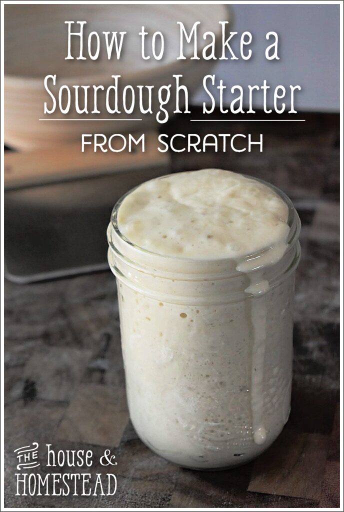 How to Make A Sourdough Starter From Scratch