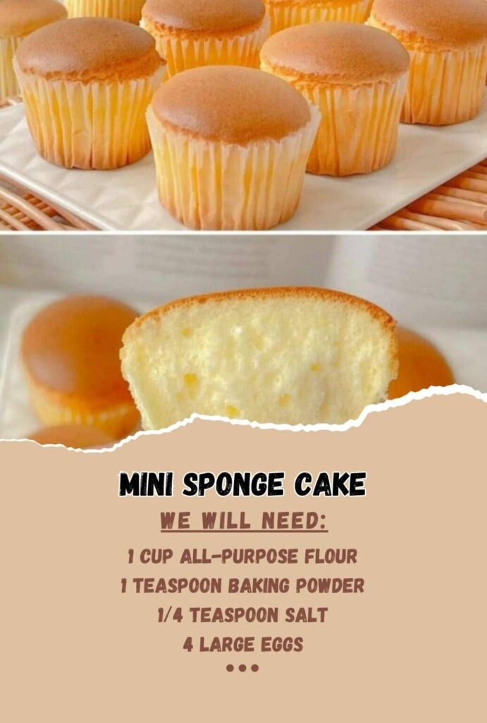 Mini Sponge Cake