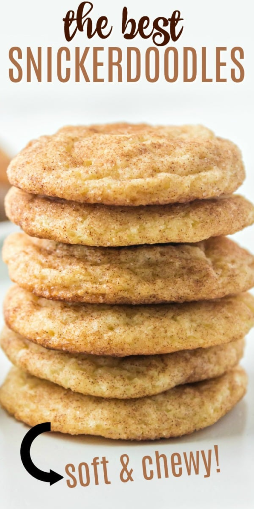 The Best Snickerdoodle Cookies Recipe