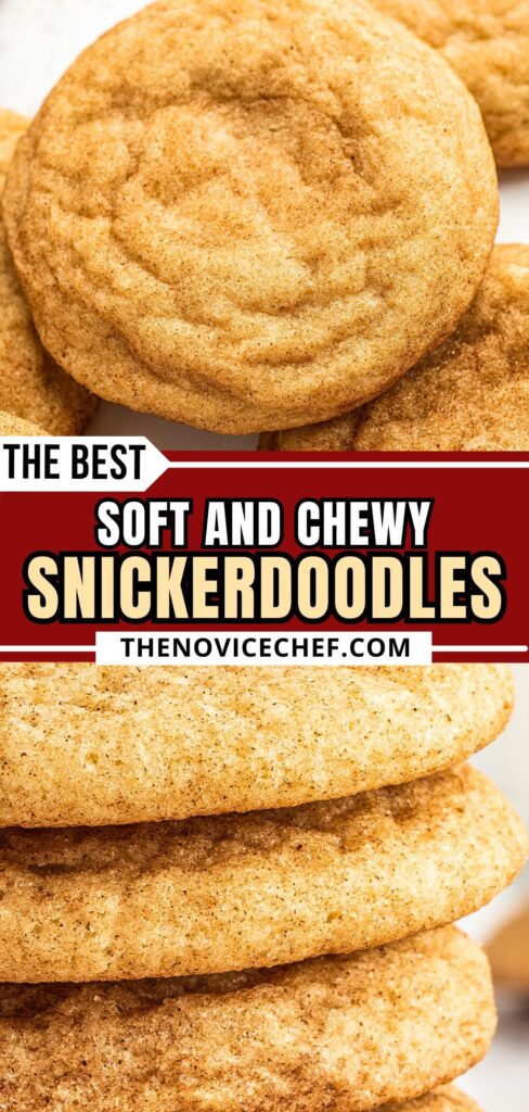 Soft & Chewy Snickerdoodle Recipe | Classic Cookie Recipe In 30 Mins!