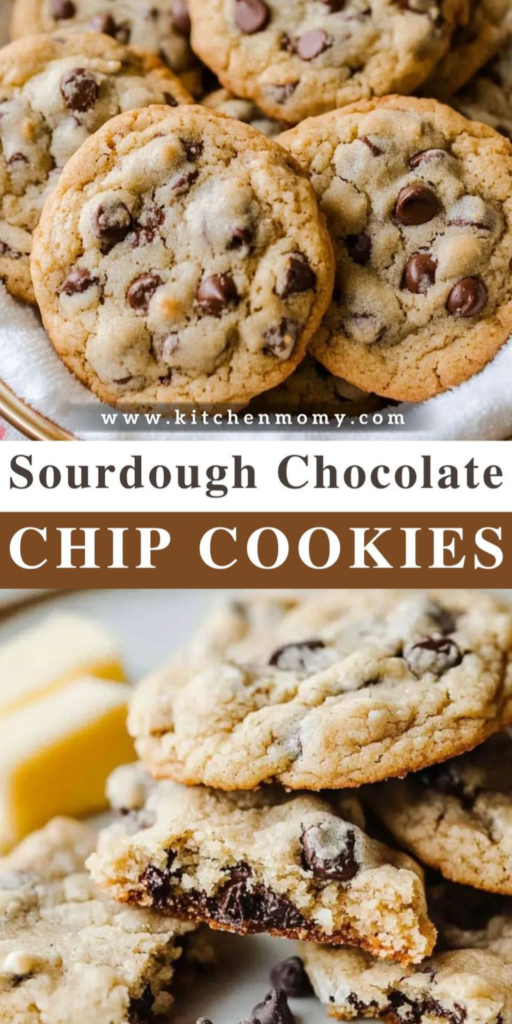 Sourdough Chocolate Chip Cookies