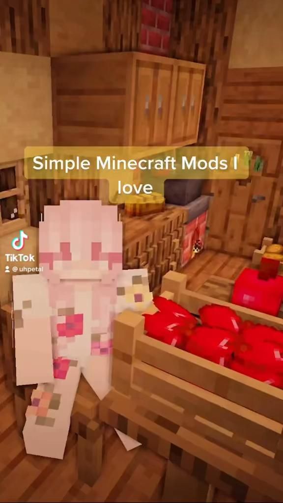 Minecraft mods