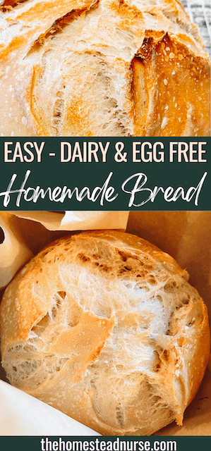 The Best Easy & Homemade Dairy Free Bread Recipe - The Homestead Nurse