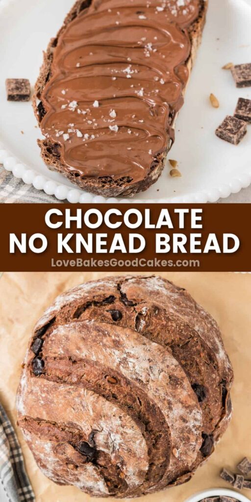 Chocolate No Knead Bread