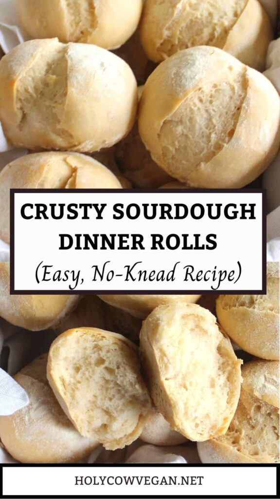 Crusty Sourdough Dinner Rolls (No-Knead)