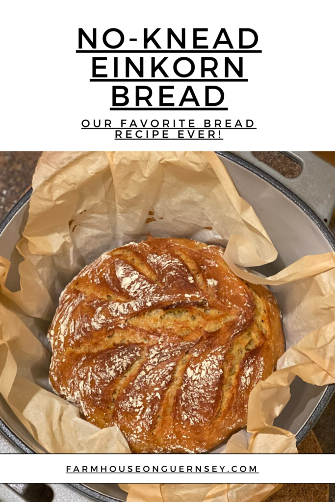 No-Knead Einkorn Bread